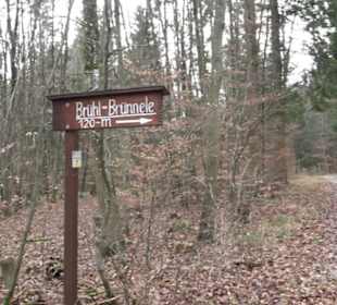 Brühl-Brünnele Ehestetten