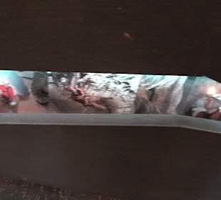 HöhlenSchauLand Hürben