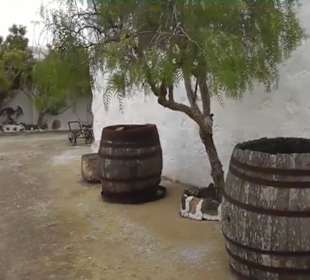 Museo Agrícola El Patio