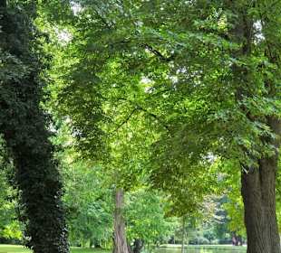 Spaziergang durch die sommerlichen Graftanlagen