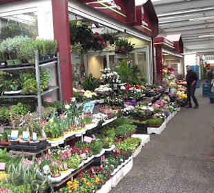 Carlsplatz Wochenmarkt 