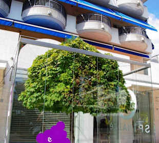 Einfach toll Baum im Glashaus