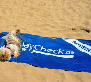 Leider nicht für mich