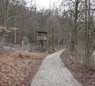 Wildpark Eichert