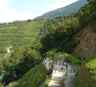 Weg im Botanischen Garten zur Aussichtsplattform