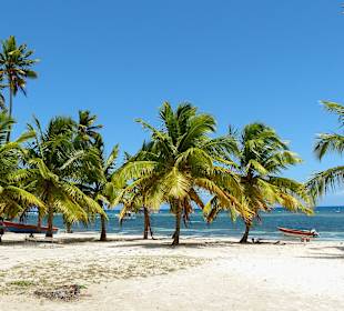 Saona Crusoe VIP Tour