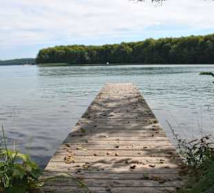 Badesteg zum Werbellinsee