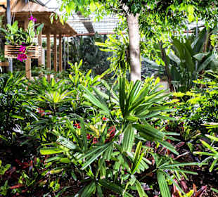 Raffeiner Orchideenwelt