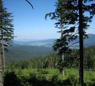 Waldblick vom grossen Arber