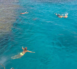 Schnorchel Ausflug