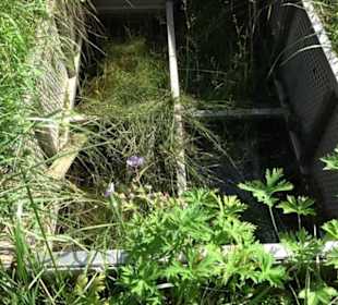 Hochgehnießen - Premiumspazierwanderweg