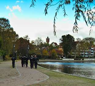 На променаде гуляют не только горожане