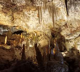 Drachenhöhle / Coves del Drac