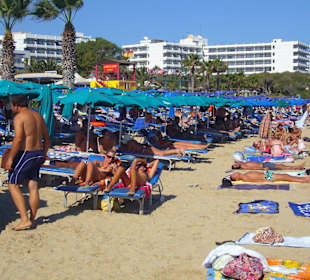 Wie die Sardinen in der Dose, aber nicht beim Hotel  Alion B