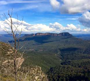 Blue Mountains National Park
