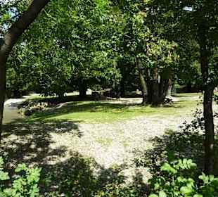 Bergzebra & Strauß & Marabu & Gazellen Anlage