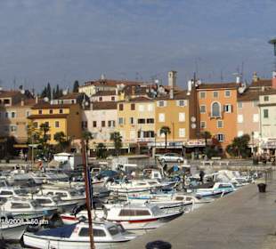 Hafen von Rovinj