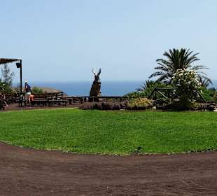 Greifvogel Showbereich