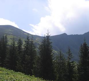 Tatry