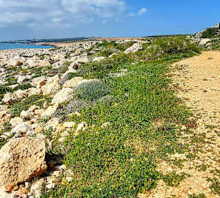 Nationalpark Kap Greco