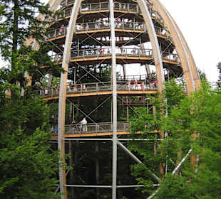 Baumwipfelpfad Lusen 