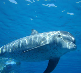 ...und immer ein Lächeln im Gesicht