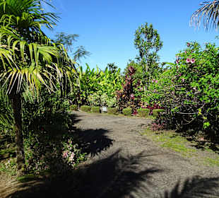 Rundgang durch den Botanischen Garten der Domaine