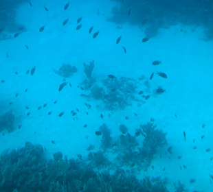 U-Boot Tour Hurghada