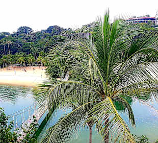 Ausblick Aussichtsturm