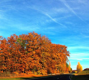 Prachtfarben vom feinsten