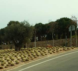 ...auf dem Weg zum Aussichtsberg Montjuic