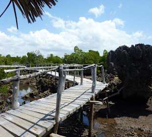 Aus Mangroven gebaute Stege