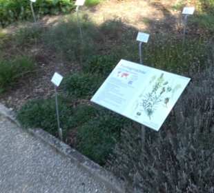 Botanischer Garten München