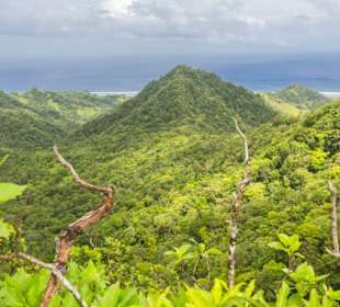 Te Rua Manga (The Needle)