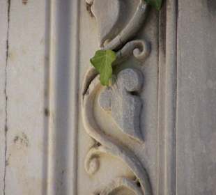 Marmorsäule mit Ornament und Efeublatt