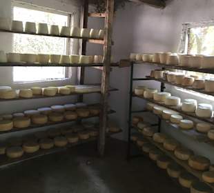 Super Jeepsafari mit Besuch in der Käserei 