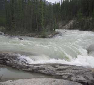 Sunwapta Falls am Icefields Parkway