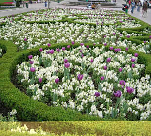Jardines del centro