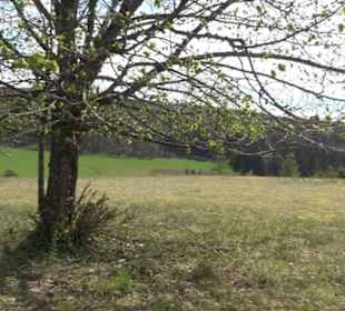 Naturreservat Beutenlay