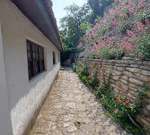 Umgebung + Botanischer Garten Baltschik + Schloss