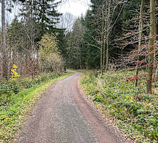 Wandern Friedrichroda