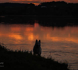 Sonnenuntergang am See