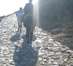 Auf dem Esel zur Akropolis