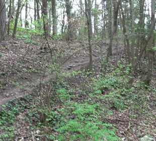 Wanderung rund um das Rusenschloss Gerhausen
