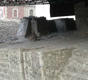 Muzeum Templo Mayor