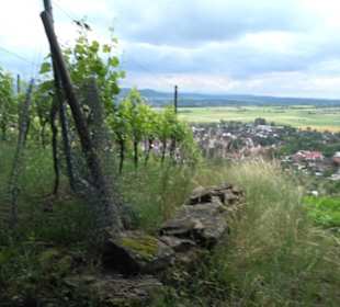 Wanderweg Märchensee Runde