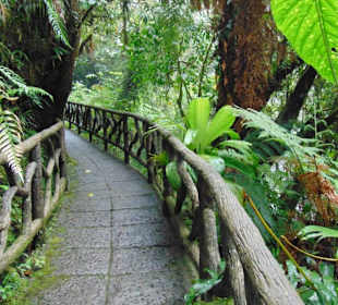 La Paz Waterfall Gardens