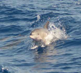 Die hatten ordentlich Spaß