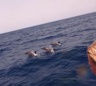 Delfin Tour Marsa Alam