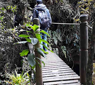 Rundweg „La Isla“ Path